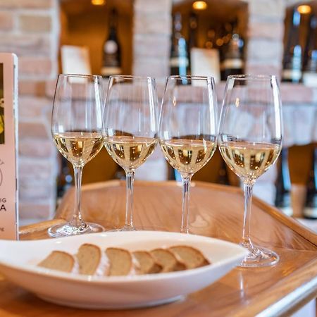 Geniesserhof Haimer - Hotel Garni Poysdorf Ngoại thất bức ảnh